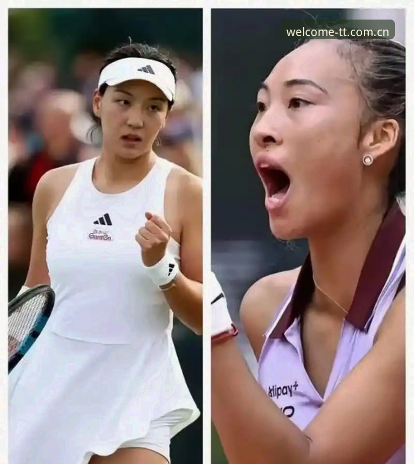 王欣瑜vs郑钦文vs张帅：2026法网女单中国金花晋级之路全面对比